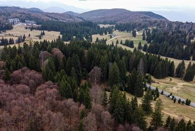 FILM! 1.000 mp,PUZ,regim P+2+M,destinatii turistice/rezidentiale. - 5