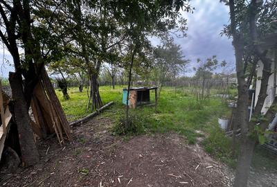 Casă cu 2 camere cu Teren 1530 Mp în Câmpineanca - 11