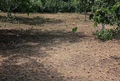 Casă cu 4 camere cu Teren 1890 Mp în Orbeni - 7