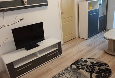 Apartament cu 2 camere semidecomandat în Valea Muscelului - 4