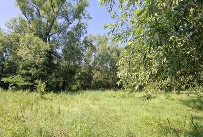 Spațiu comercial, în Ghirdoveni - 3