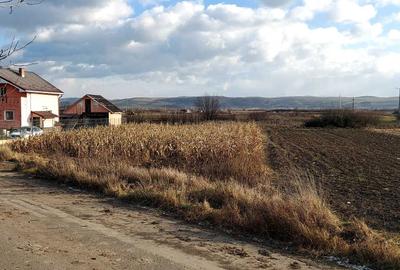 Teren de 750 mp, în Cuzdrioara - 7