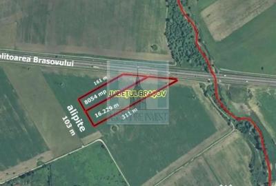 Teren de 24283 mp, în Rulmentul