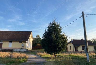 Hala de inchiriat - 4