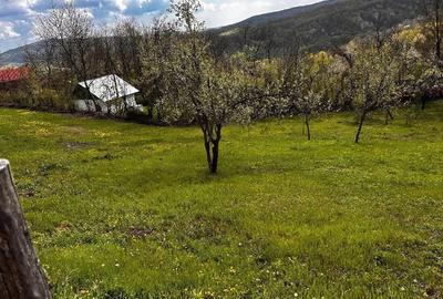 Teren de 2350 mp, în Surani - 2