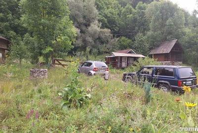 VANZARE ANSAMBLU CASUTE BRADULET ARGES - 7