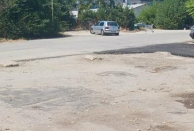 Pallady Ikea Victor Brauner - 5