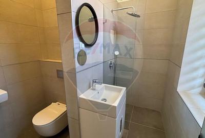 Spatiu de birouri de inchiriat - la casa cu 4 apartamente pe Racovita - 14