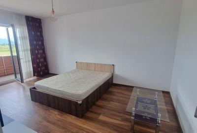 Garsonieră decomandată în Bartolomeu - 12