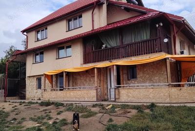 Casa d vanzare - 10