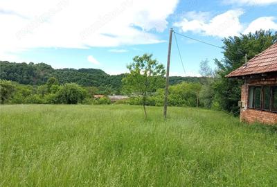 Teren de 16000 mp, în Borlovenii Noi - 1