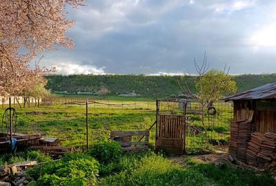 Casă cu 4 camere în Breasta - 4