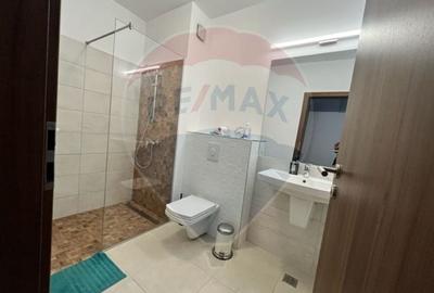 Inchiriere  Vila cu 4 camere in zona Matei Millo - 17