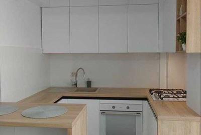 Apartament cu 2 camere semidecomandat în Valea Lupului - 2