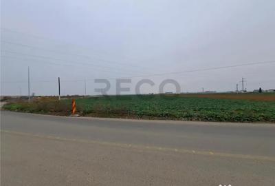 Teren în Chiribiș - 2