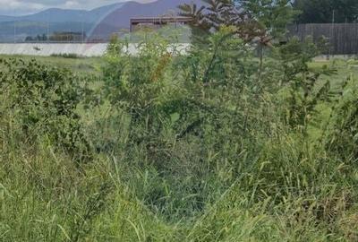 Teren 2,411mp Sighetu Marmatiei / Strada Teplitei - 1