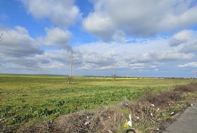 Teren intravilan 3,7 ha in Vama Veche, deschidere la DN39, la 300 ml de granita - 3