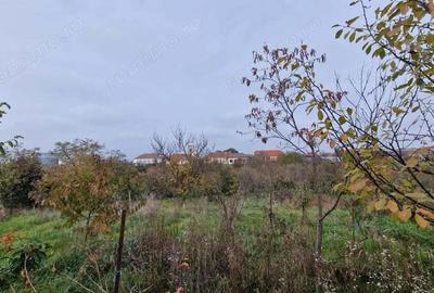 De vanzare casa Carani + teren 2085 mp- 697 - 3