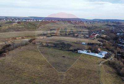 Teren 2925 mp comuna Mitocu Dragomirnei - 5