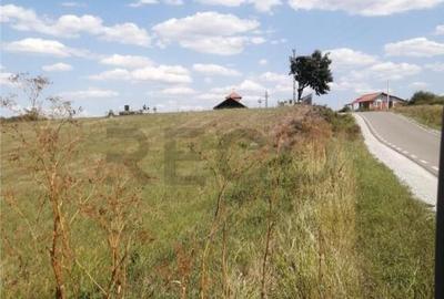 RECO, Teren in Pausa, Nojorid - 3