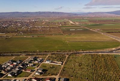 Proprietar vand teren INTRAVILAN, 35000mp, DNE85 cu acces direct la A7 - 2