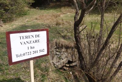 Teren în Brebu - 5