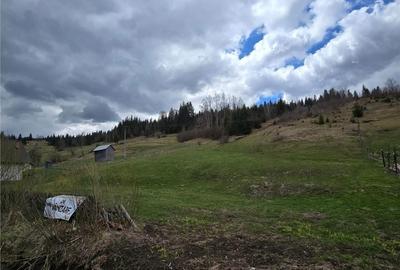 Teren de 9000 mp, în Dorna-Arini - 3