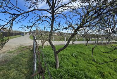 Teren Construcții intravilan de 1300 mp, în Curtișoara - 7