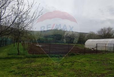 Casa  de vanzare in Dragu  jud. Salaj  teren 1400 mp. - 16