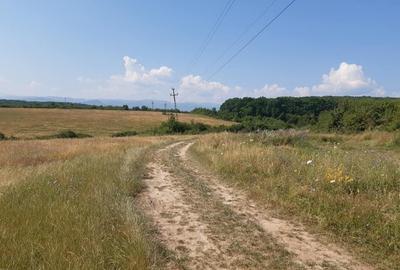 Teren de 5000 mp, în Central