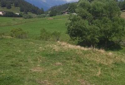 Teren de 600 mp, în Central - 7