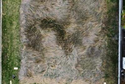 Spațiu comercial, în Făcăi - 3