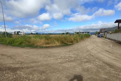 Teren intravilan, 6000mp, Ghimbav - 4