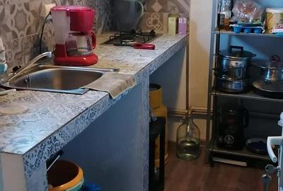 Casă cu 2 camere cu Teren 472 Mp în Dobra - 9