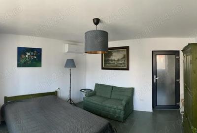 Casă cu 3 camere în Dumbrăvița