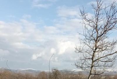 Casă cu 2 camere cu Teren 2500 Mp în Doclin - 3