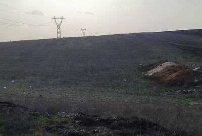 Teren de 10000 mp, în Pielești - 3