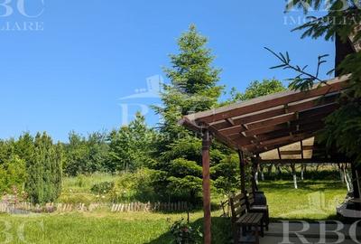 Teren pentru constructie casa in Faget - 8