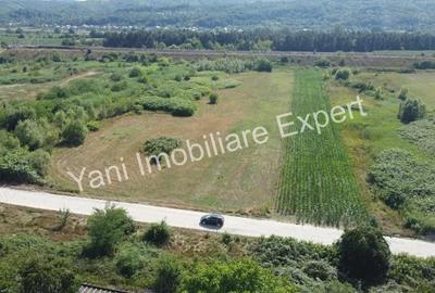 Teren de 8229 mp, în Băiculești - 10