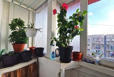 Apartament cu 4 camere decomandat, mobilat în 13 Septembrie - 8