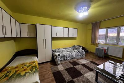 Apartament cu 2 camere decomandat în Micălaca - 7