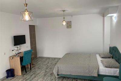INCHIRIERE VILA 14 camere, Bariera Bucov - 8