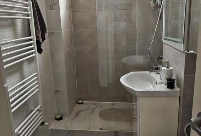 Apartament cu 2 camere semidecomandat în Craiovița Nouă - 3
