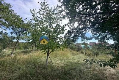 Teren de Vanzare 1172 mp Dumbrava Ro?ie, Neam? - 4