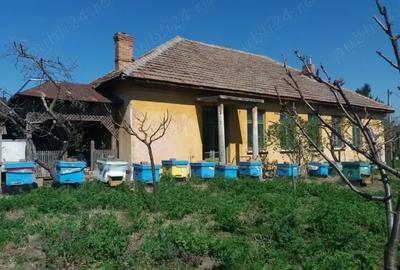 Vand Casa Maglavit -Calea Severinului - 1