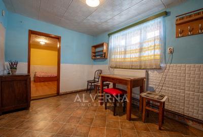 Casa individuala cu 2 camere, teren si acces auto langa Cluj Arena - 9