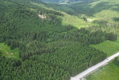 Teren extravilan 5000 MP Comandau - 4