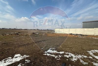 Teren Selgros Aleea 7 din str. Lamaitei 6354 mp intravilan - 5