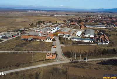Spațiu comercial, în Boroșneu Mare - 2