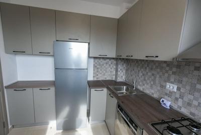 Garsoniera moderna, decomandata, 45mp, la 12 minute de metrou - Brancusi - 4